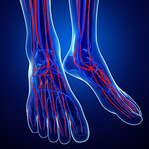 Do I Have Poor Circulation?